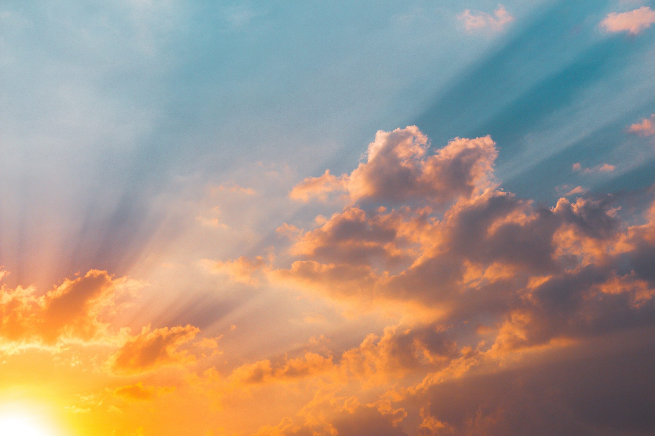 コロナ禍の長い夏を Radwimpsの 夏のせい で疾走する Musit ミュージット