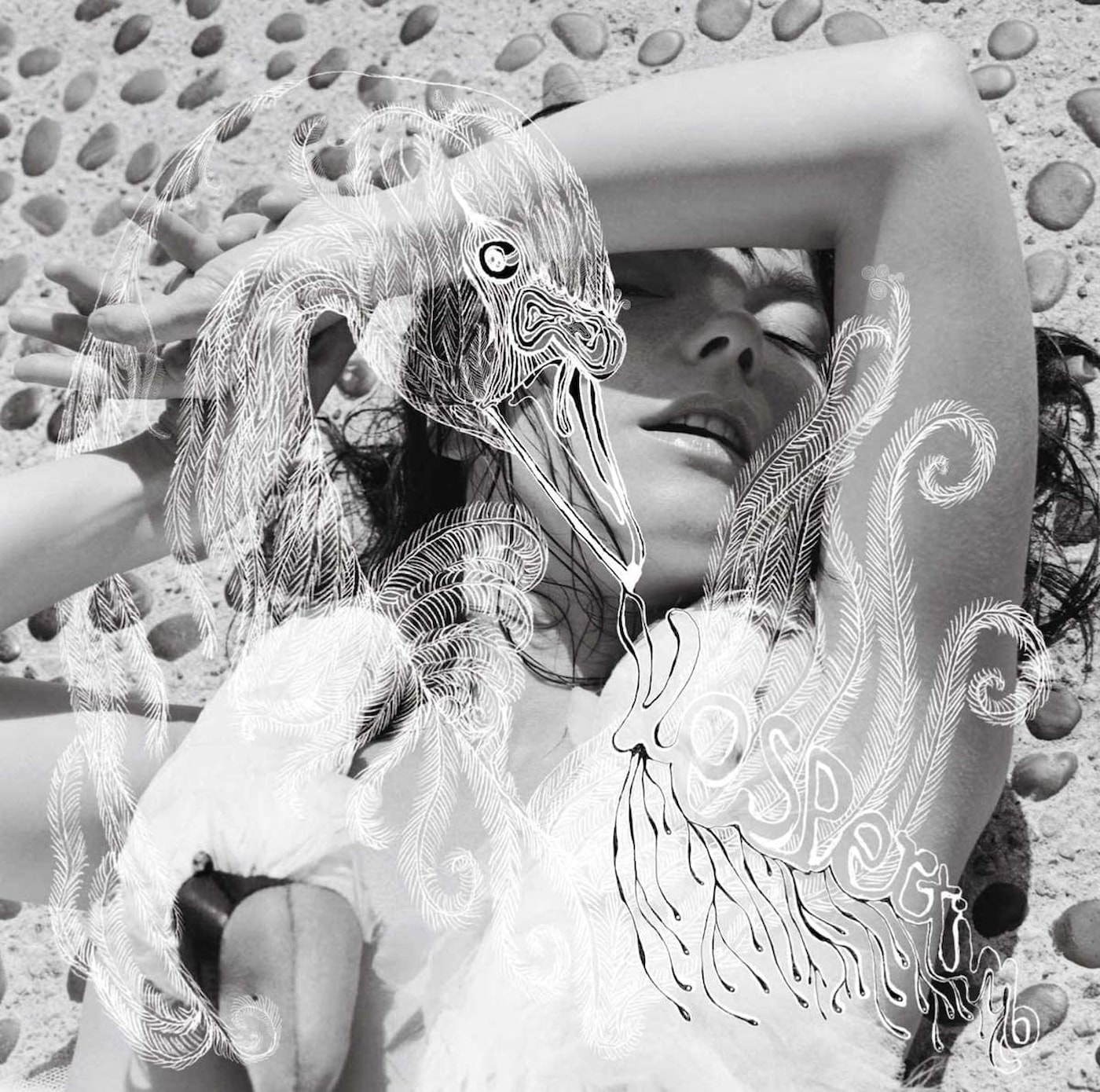 【後編】ビョーク（Björk）が『Vespertine』で志向した、セルマを癒す安寧の薄暮【20周年記念】